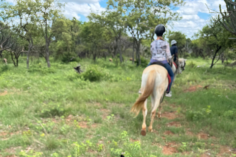 Vanuit Johannesburg: Paardrijden safari