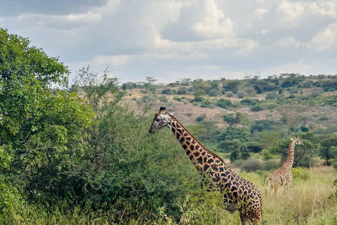 Da Nairobi: Escursione di un giorno al Parco Nazionale del Lago Nakuru