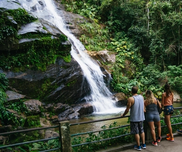 Rio: Tijuca National Park Guided Hike with Hotel Transfers