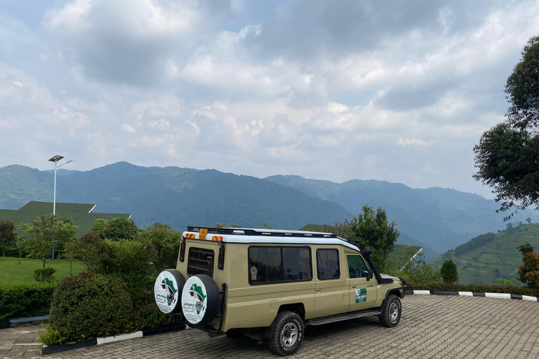 Rastreamento de gorilas no Parque Nacional Impenetrável de Bwindi, UgandaObservação de gorilas no Parque Nacional Impenetrável de Bwindi, Uganda