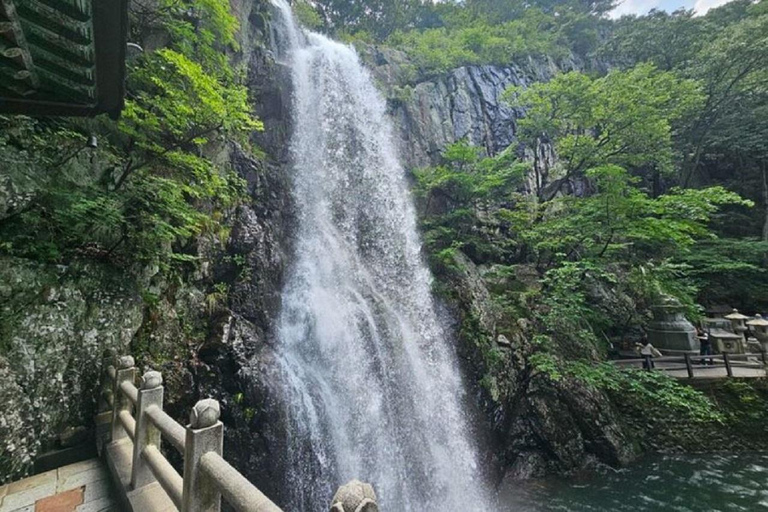 From Busan: Hidden Buddhist Temples Tour Private Day Trip 4-hour Seokbulsa & Hongryongsa Temple Tour