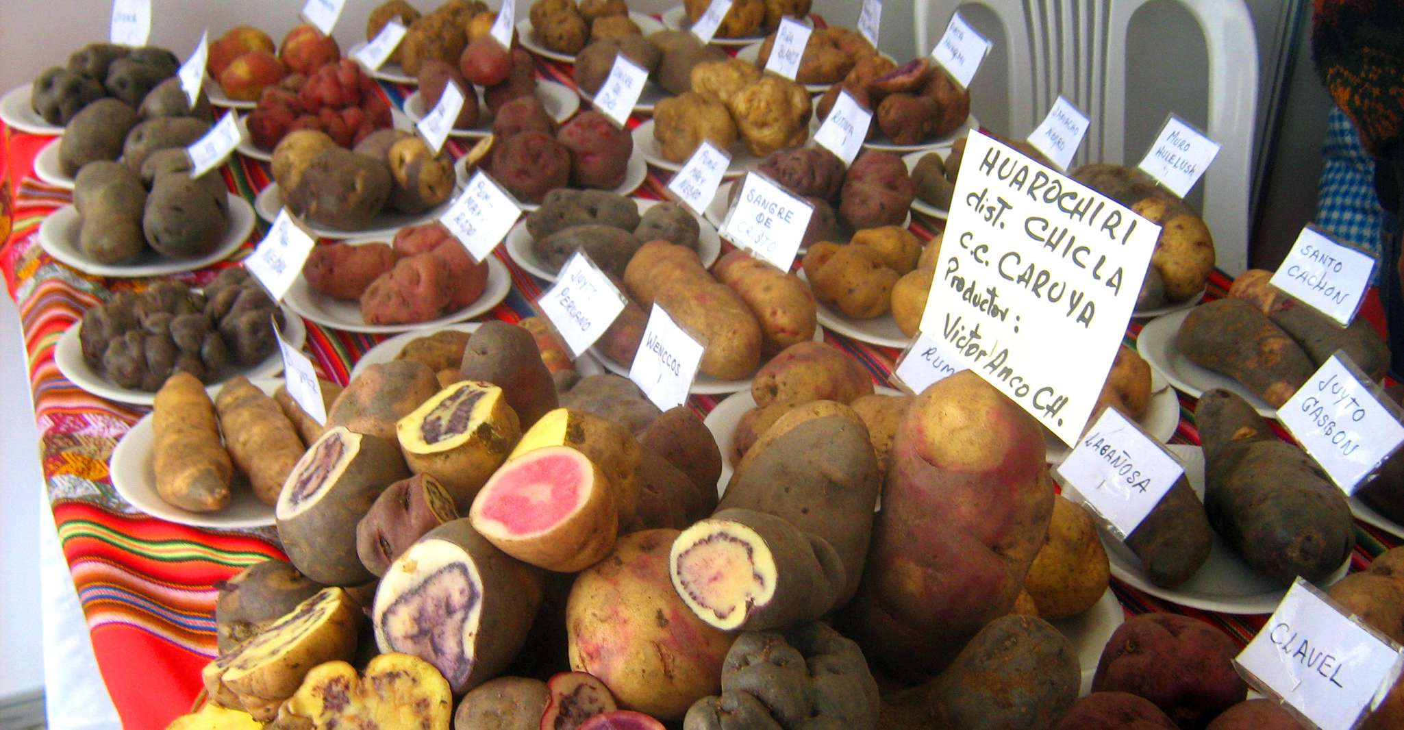 Rural Community Tourism in the Potato Park - Sacred Valley - Housity