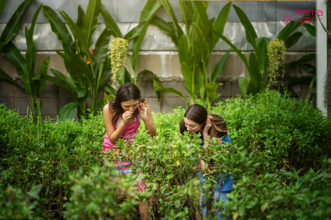 Clase de cocina con granja ecológica en Chiang Mai en Mama Noi