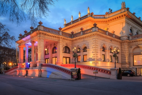 Viena: concierto de Año Nuevo de Strauss y MozartCategoría VIP
