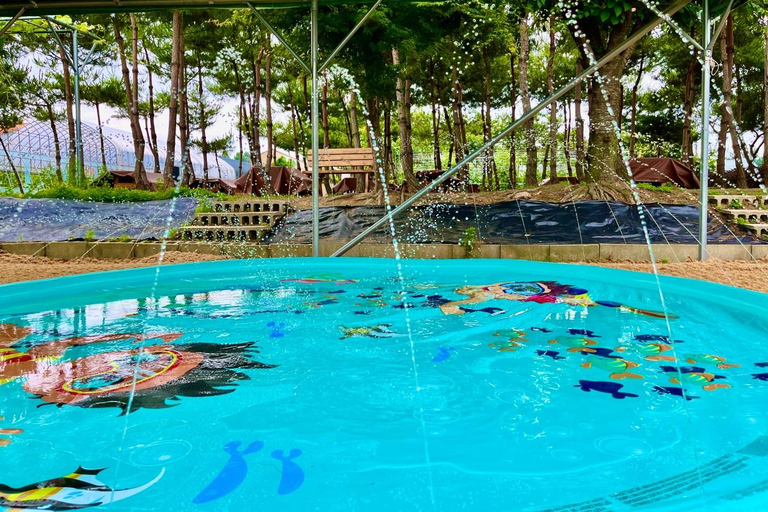 Seasonal Fruit Picking & Dream Cattle Farm Day Tour Hongik Univ. station, exit 9