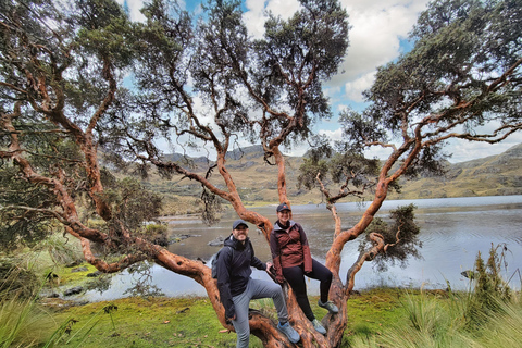 Halbtagesausflug in den Cajas-NationalparkGemeinsame Tour