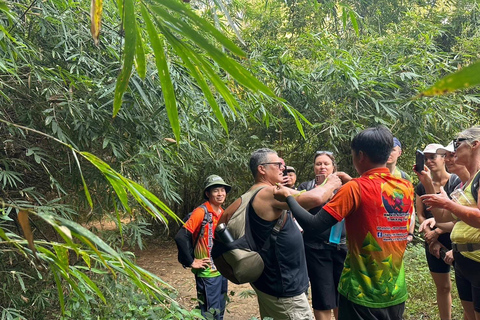 Chiang Mai: 3Days 2Night Trek in Doi Inthanon Area