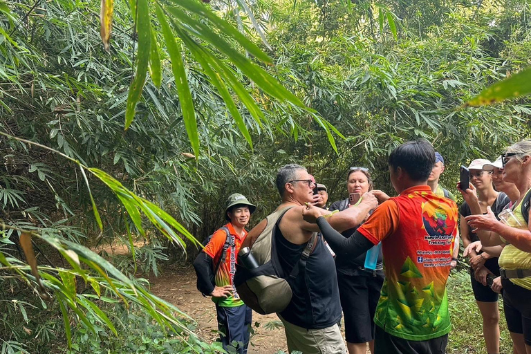 Chiang Mai: 3Days 2Night Trek in Doi Inthanon Area