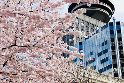 Vancouver: City Highlights Tour e The LookoutVancouver: Excursão pelos Destaques da Cidade e The Lookout