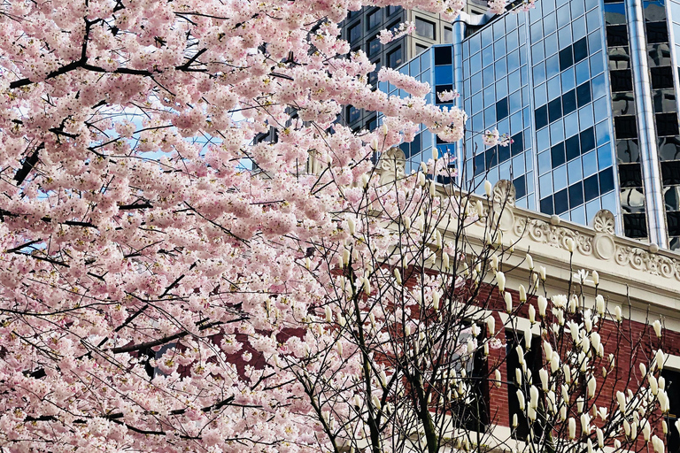 Vancouver: Stadsrondleiding & The LookoutVancouver: City Highlights Tour & The Lookout