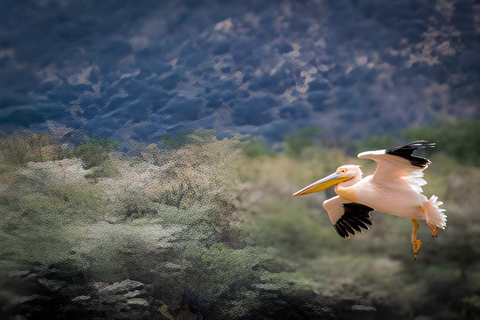 Séjour safari de 4 jours en Tanzanie à Noël et au Nouvel AnSéjour de 4 jours en Tanzanie pour Noël et le Nouvel An