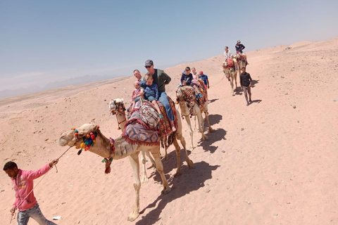 الغردقة: جولة ركوب الخيل في الصحراء والبحر مع خيار السباحةجولة لمدة ساعتين لركوب الخيل بدون السباح