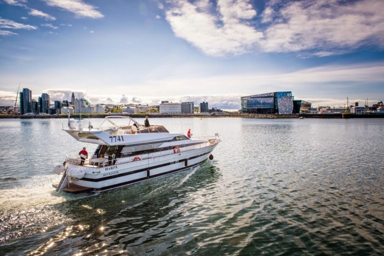 Ab Reykjavík: Per Luxus-Yacht zu den Nordlichtern