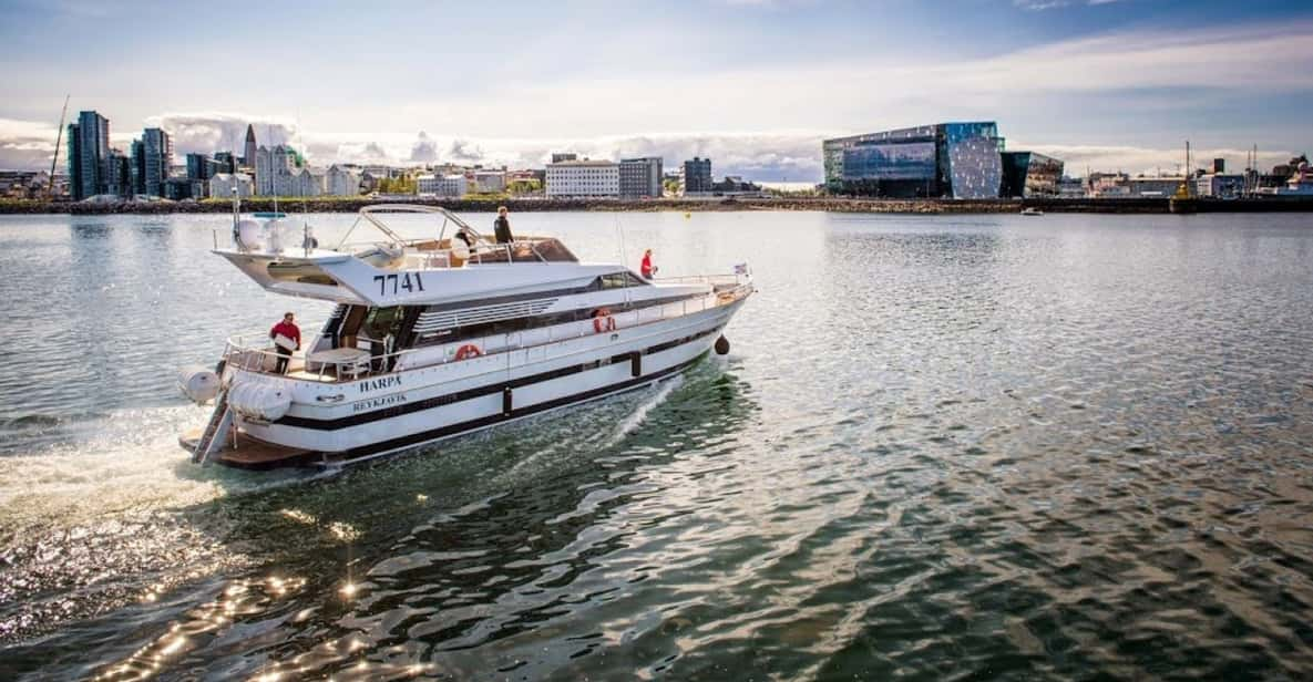 reykjavik northern lights luxury yacht tour