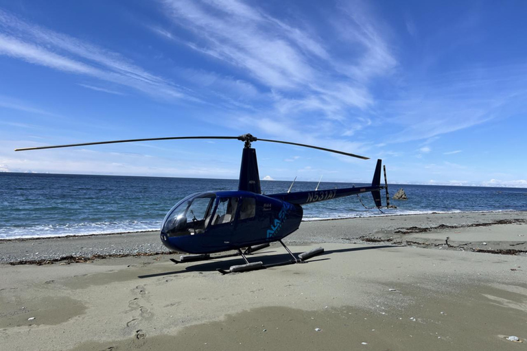 Seward : Tour en hélicoptère de l'océan et des icebergs avec 2 atterrissages
