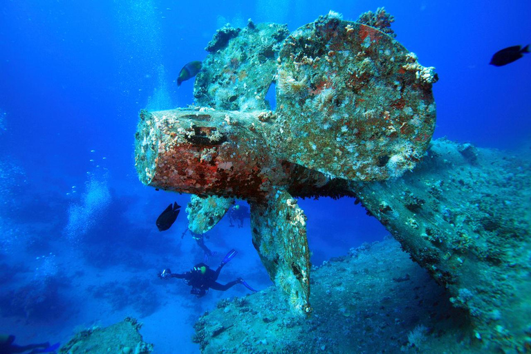 Hurghada: Grand Aquarium & only Transfers without entry Fees