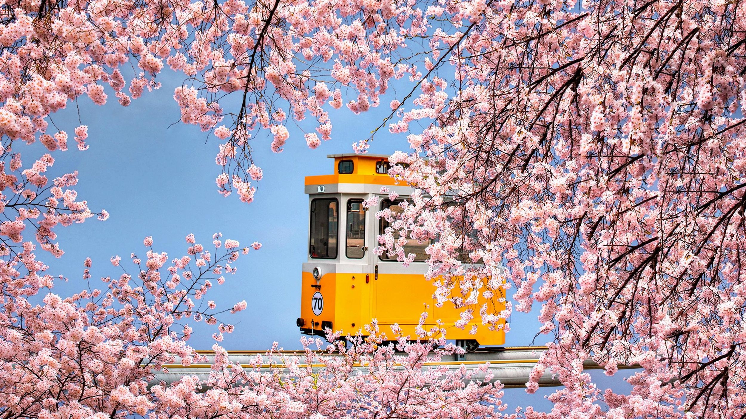 Busan: Highlights mit optionaler garantierter Sky Capsule Tour