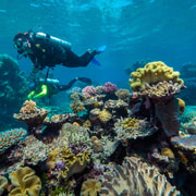 Cairns: Green Island Full-Day Tour with Diving