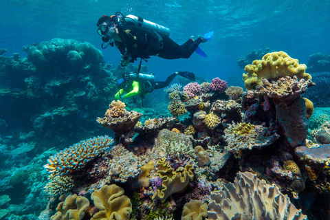 Cairns: Green Island Full-Day Tour with Diving Glass Bottom Boat OR Snorkel Equipment + Intro Dive