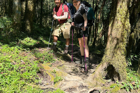 Kathmandu: 9-Day Mardi Himal Base Camp Trek