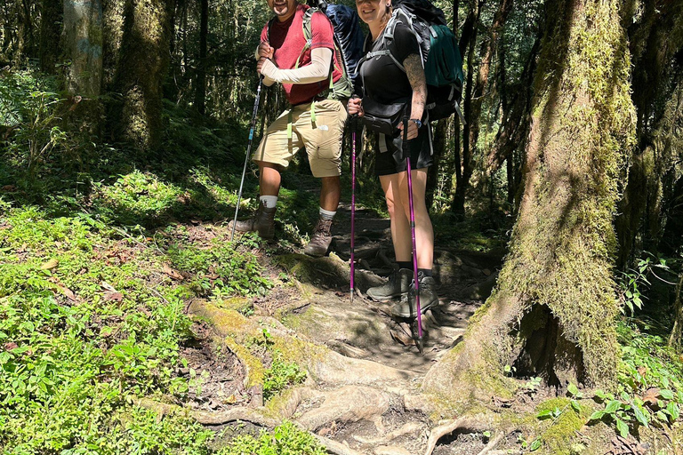 Kathmandu: 9-Day Mardi Himal Base Camp Trek