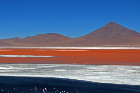 Desde La Paz: Salar de Uyuni Tour de 5 días con traslados en autobús