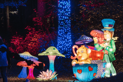 科隆：光之花园门票科隆：光之花园入场门票（周末）