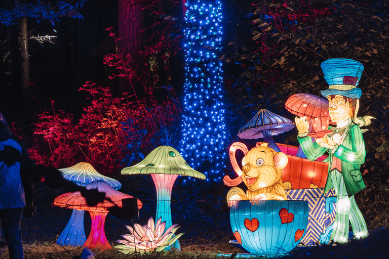 科隆：光之花园门票科隆：光之花园入场门票（周末）