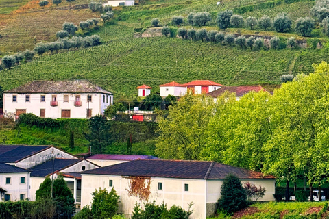 Porto : Vallée du Douro : visite de 2 vignobles avec déjeuner et croisière sur le fleuve