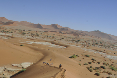 From Swakopmund: 2-Day Sossusvlei Scenic Journey (1 Night)