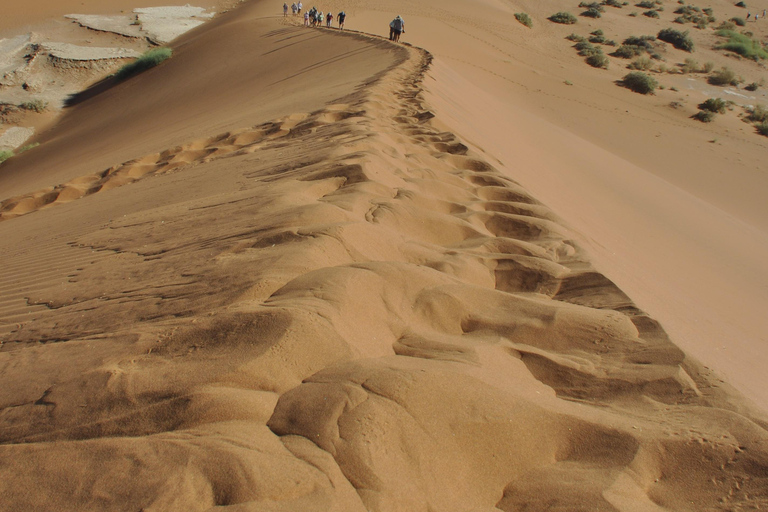 From Swakopmund: 2-Day Sossusvlei Scenic Journey (1 Night)