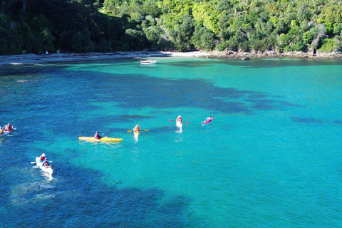 Auckland: Tiritiri Matangi Island Kayak Tour