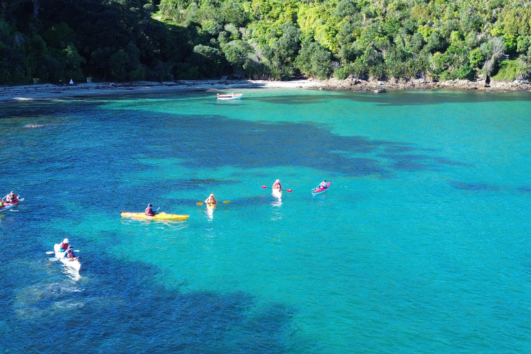 Auckland: Tiritiri Matangi Island Kayak Tour