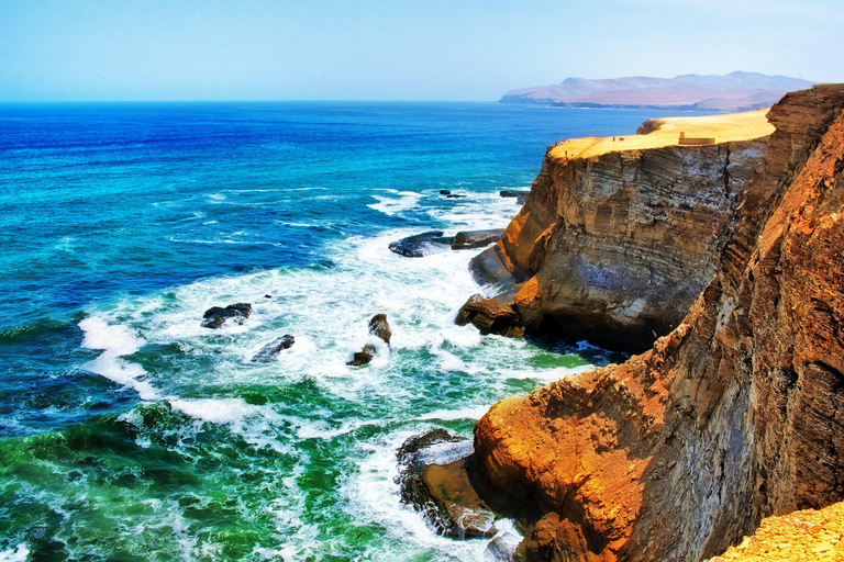 Excursion: Ballestas Islands and Paracas National Sanctuary Paracas:Brief excursion to the Ballestas Islands |Sea Lions|