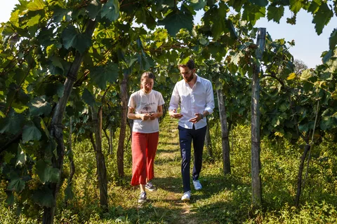 Batumi to Kutaisi, Wine & Dine