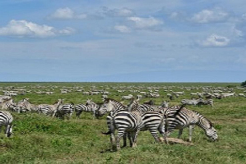 Beste 3 Dagen: Safari Tarangire Ngorongoro en Lake Manyara