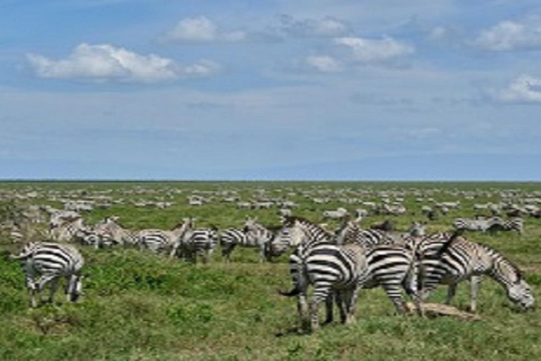 Beste 3 Dagen: Safari Tarangire Ngorongoro en Lake Manyara