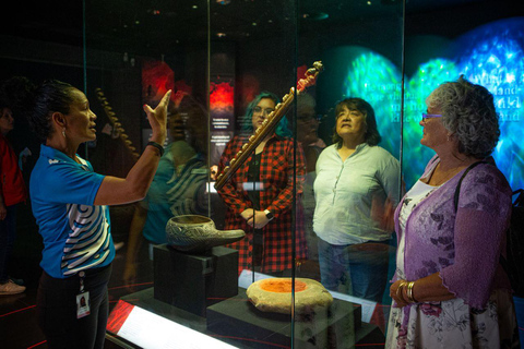 Wellington: Te Papa Museum Entry for International Visitors