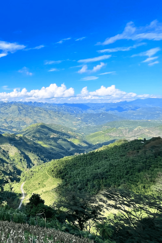 Galería de fotos para redes