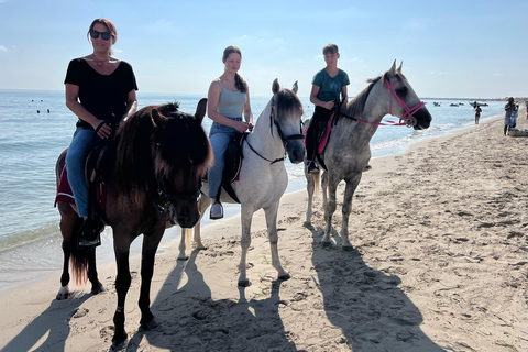 Djerba : Leçon d&#039;équitation pour adultes et enfants.