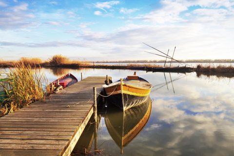 Da Valencia: Tour privato dell&#039;Albufera, Paella e giro in barcaDa Valencia: Tour dell&#039;Albufera con Paella, giro in barca e passeggiata