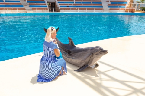 Von Side/Alanya: Sealanya Delfinshow mit HoteltransfersAbholung von Alanya