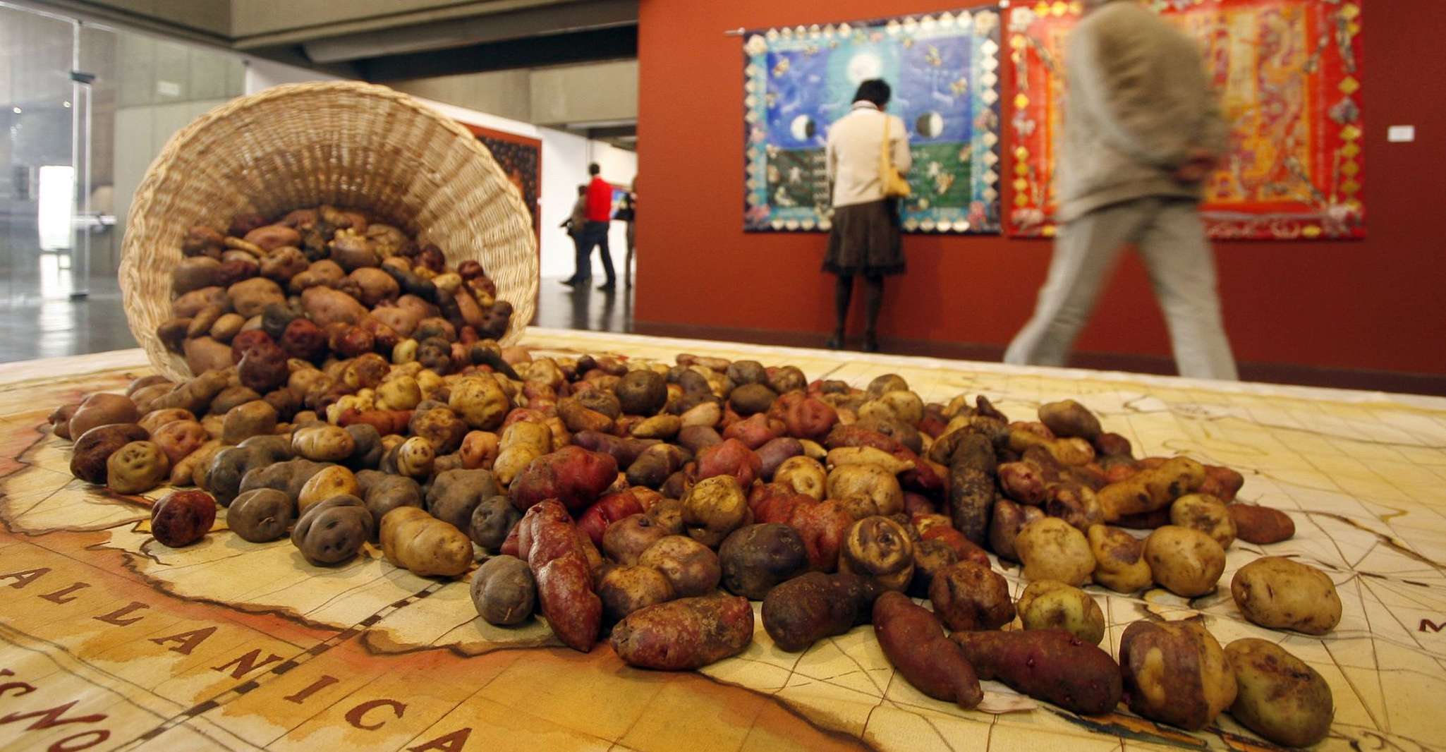 Rural Community Tourism in the Potato Park - Sacred Valley - Housity