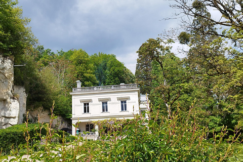 Chenonceau: giro guidato in ebike e pranzo al sacco con vino e formaggioDivertente tour in ebike a Chenonceau con degustazione di vini e formaggi