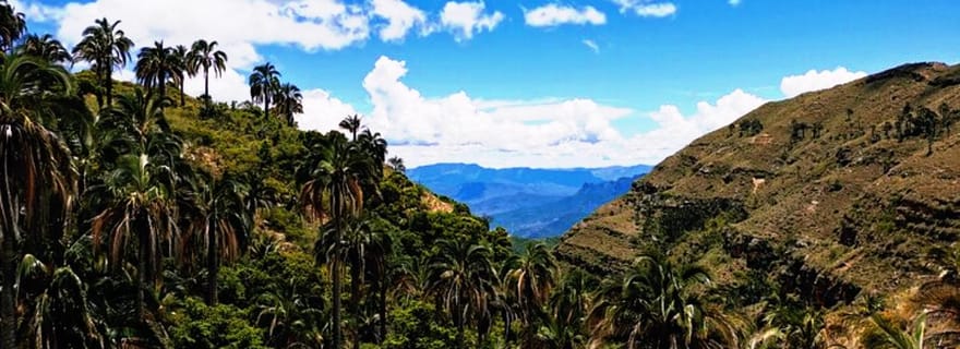Sucre : 2 jours dans le parc national d'El Palmar et les villages de Yampara