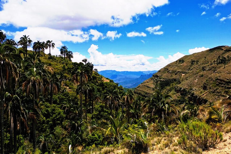 Sucre: 2 Days in El Palmar National Park & Yampara Villages