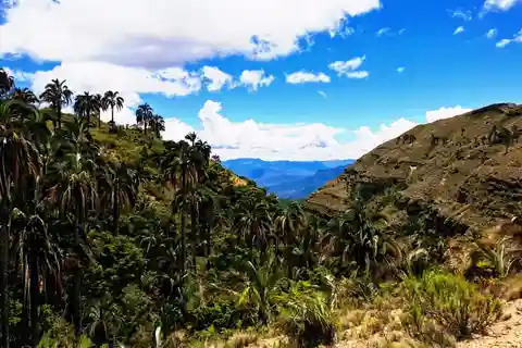 Sucre: Tour de 1 dia ao Parque Nacional El Palmar e Aldeias Yampara