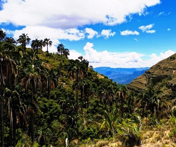 Sucre: 1 Day Tour El Palmar National Park & Yampara Villages