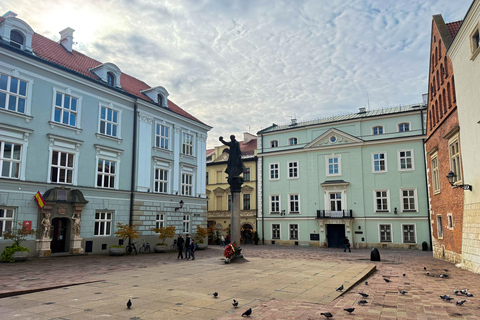 Royal Wawel Castle and Cathedral Experience Polish Tour
