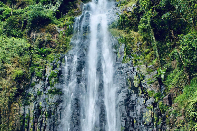 From Moshi or Arusha: Materuni Waterfall & Hot Springs Tour